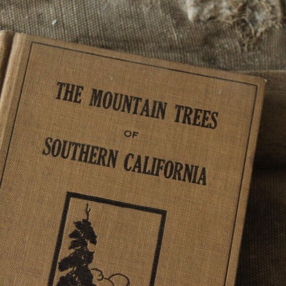 Vintage 1920s Book, "The Mountain Trees of Southern California" by Edmund Jaeger - Picture 3 of 10